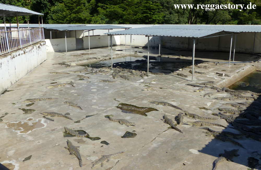 Crocodile Ranch - Arba Minch - Ethiopia
