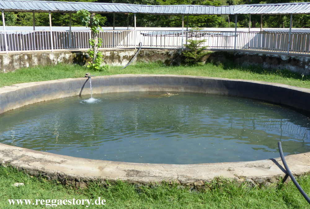 Crocodile Ranch - Arba Minch - Ethiopia