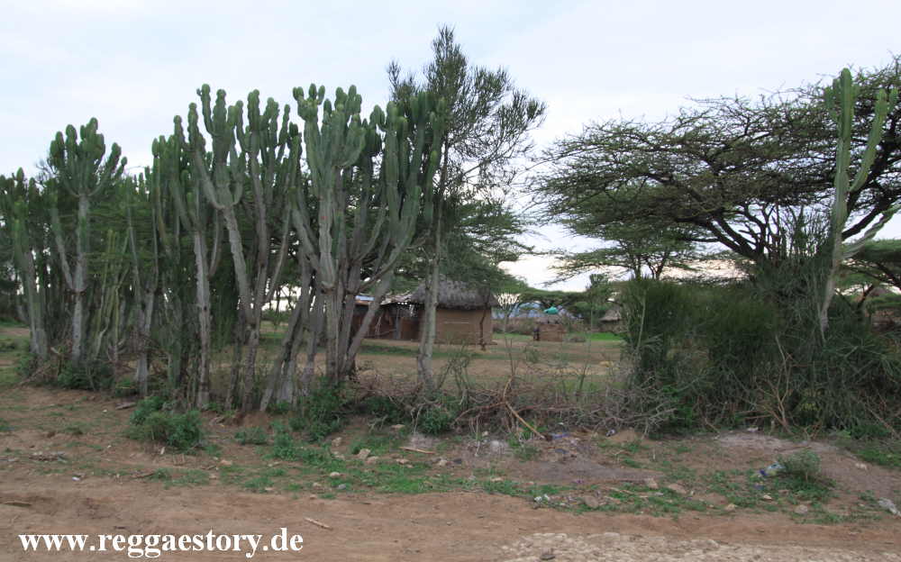 Abijata-Shala National Park - Ethiopia