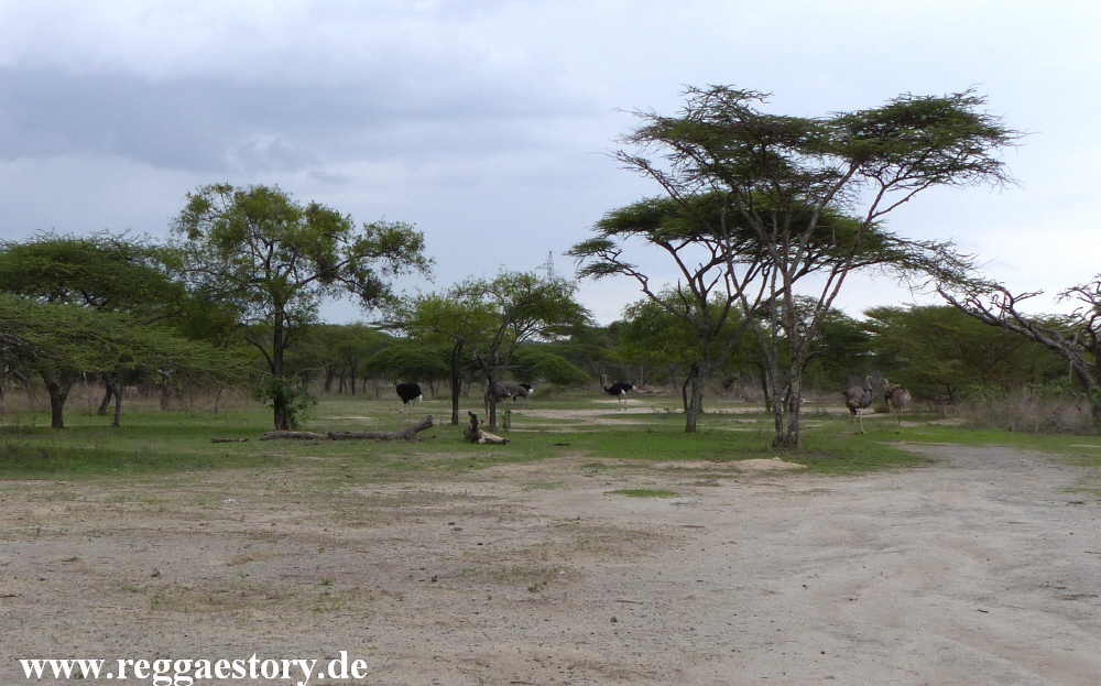 Abijata-Shala-Nationalpark - Ethiopia