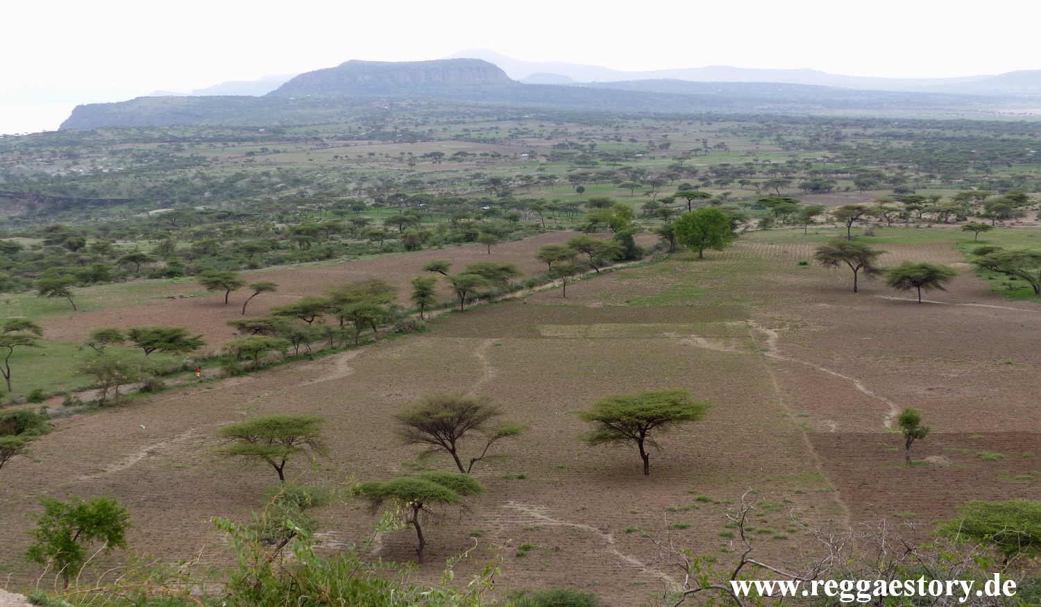 Abijata-Shala National Park - Ethiopia