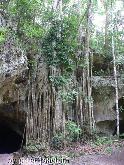 Runnaway Caves