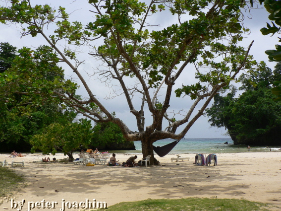 Frenchman..s Cove