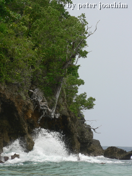 Frenchman..s Cove