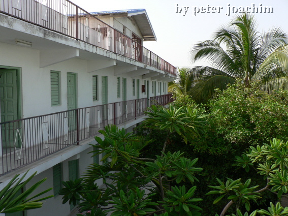 Chelsea Hotel - Kingston