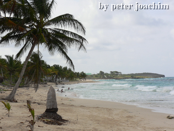 Long Bay