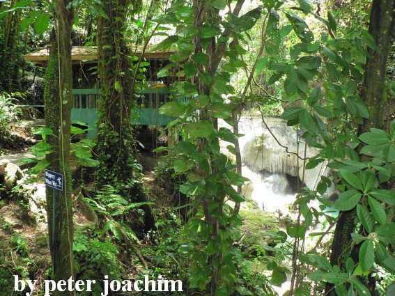 Teil der Somerset Falls