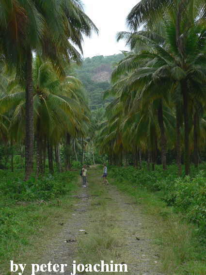 To the Somerset Beach