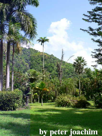 Castleton Botanical Gardens