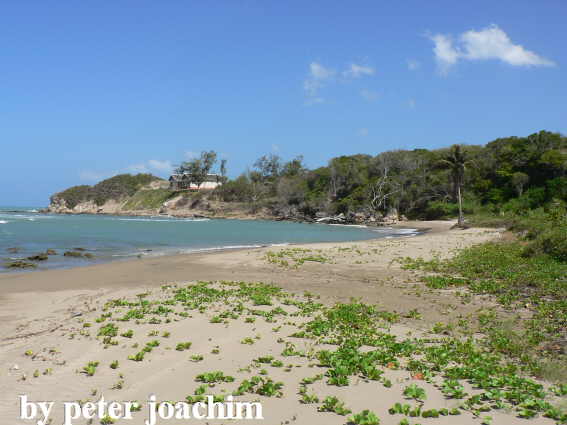 Billy Bay