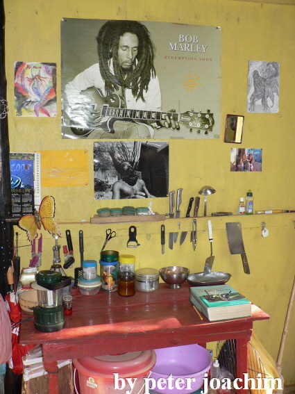Hermans House