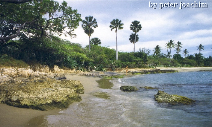 Frenchmans Bay