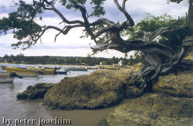 Frenchmans Bay
