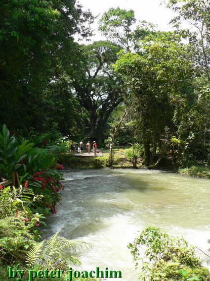 Y.S. Falls