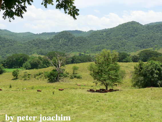 Landschaft bei den Y.S. Falls