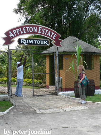 Appleton Estate