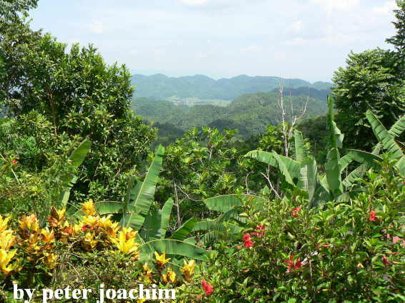 Strecke nach Accompong