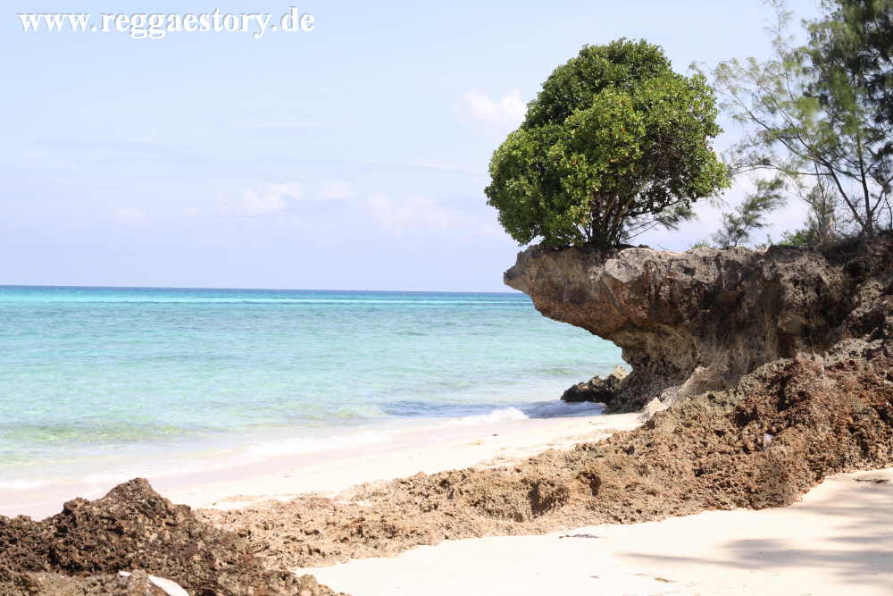 Zanzibar - Prison Island