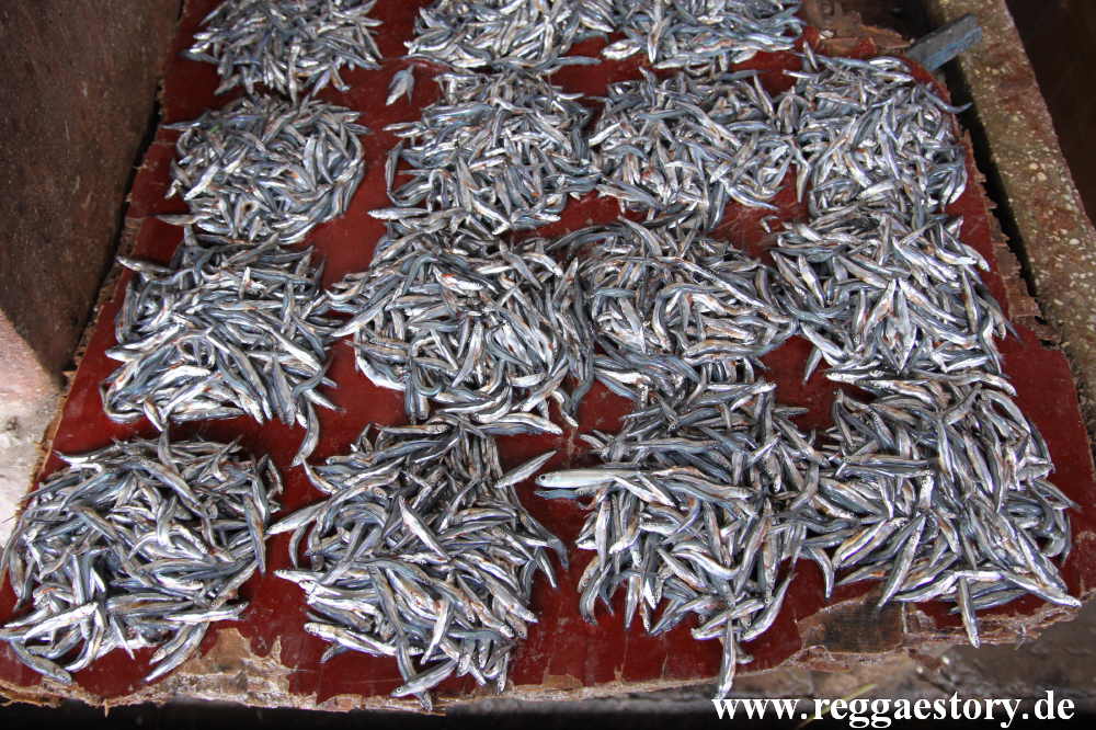 Zanzibar - Stone Town - Markthalle