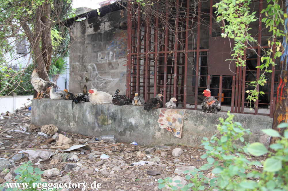 Zanzibar - Stone Town