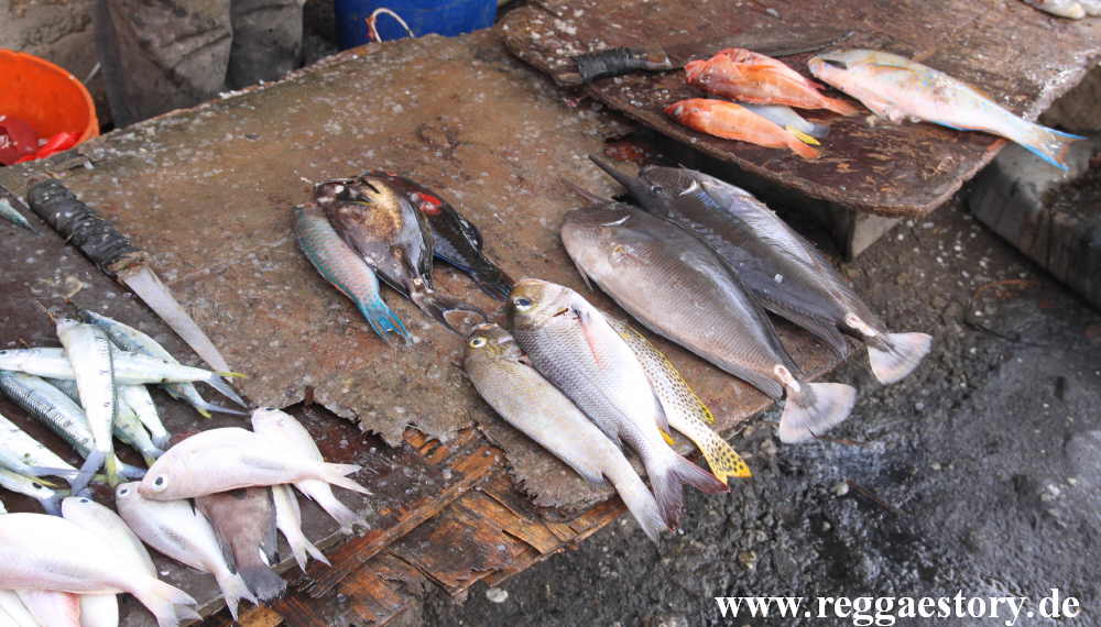 Zanzibar - Stone Town - Fischmarkt Dhauhafen