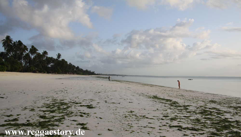 Zanzibar - Pwani Mchangani