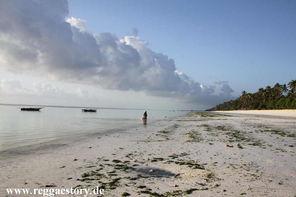 Zanzibar - Pwani Mchangani