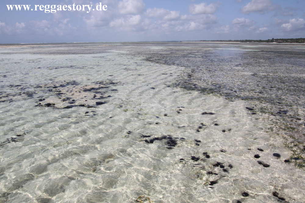 Zanzibar - Pwani Mchangani