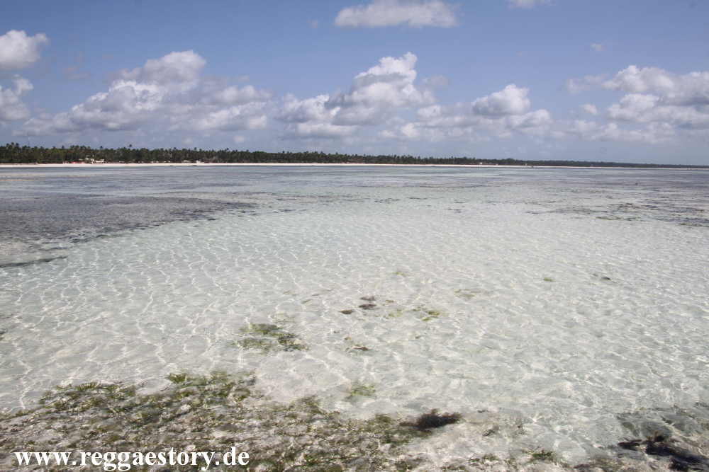Zanzibar - Pwani Mchangani