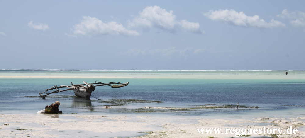 Zanzibar - Pwani Mchangani - Riffwanderung