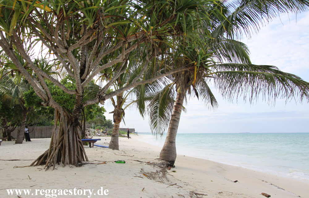 Zanzibar - Neptune Pwani Beach Resort