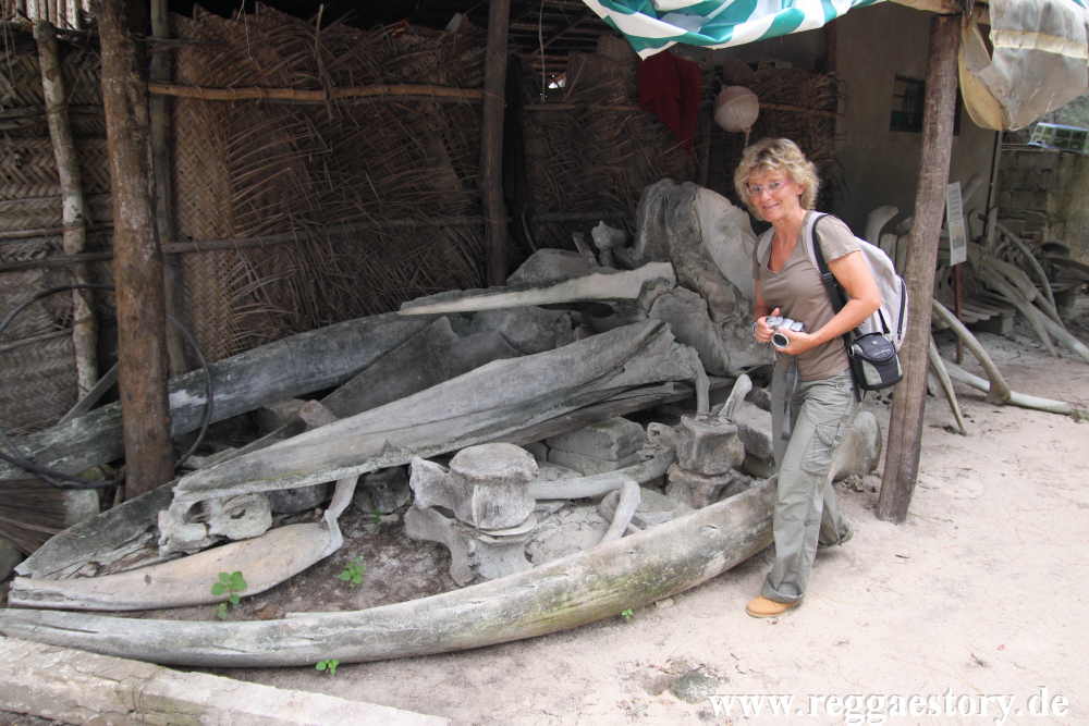 Zanzibar - Nungwi - Turtle Aquarium