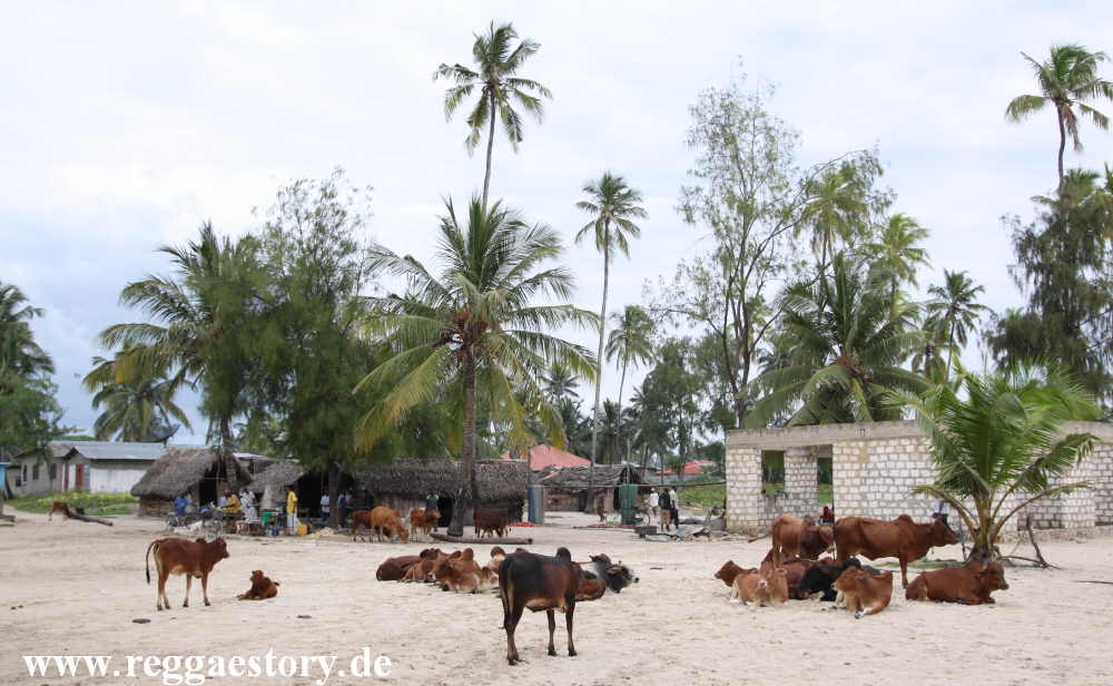 Zanzibar - Nungwi - East