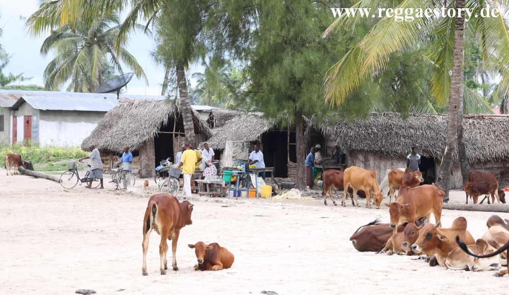 Zanzibar - Nungwi - East