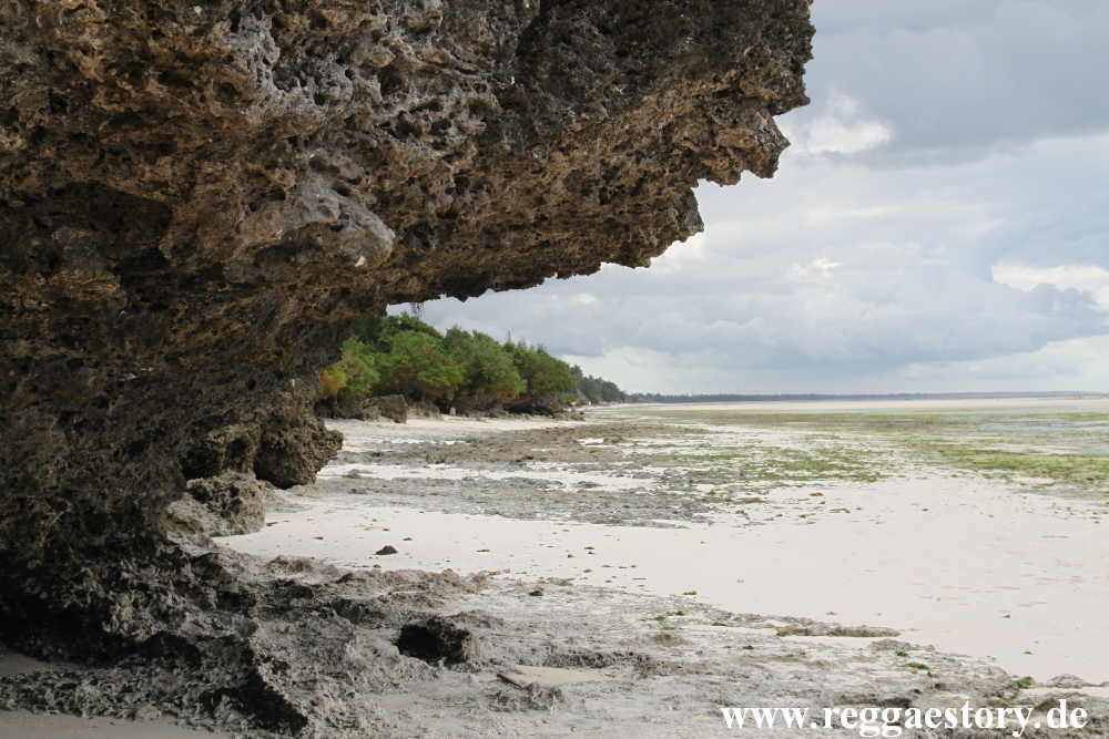 Zanzibar - Pwani Mchangani - Korallenfelsen