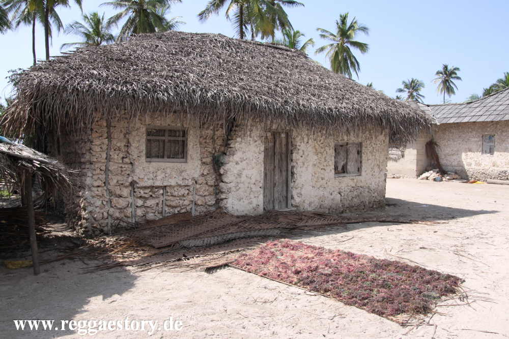 Zanzibar - Pwani Mchangani