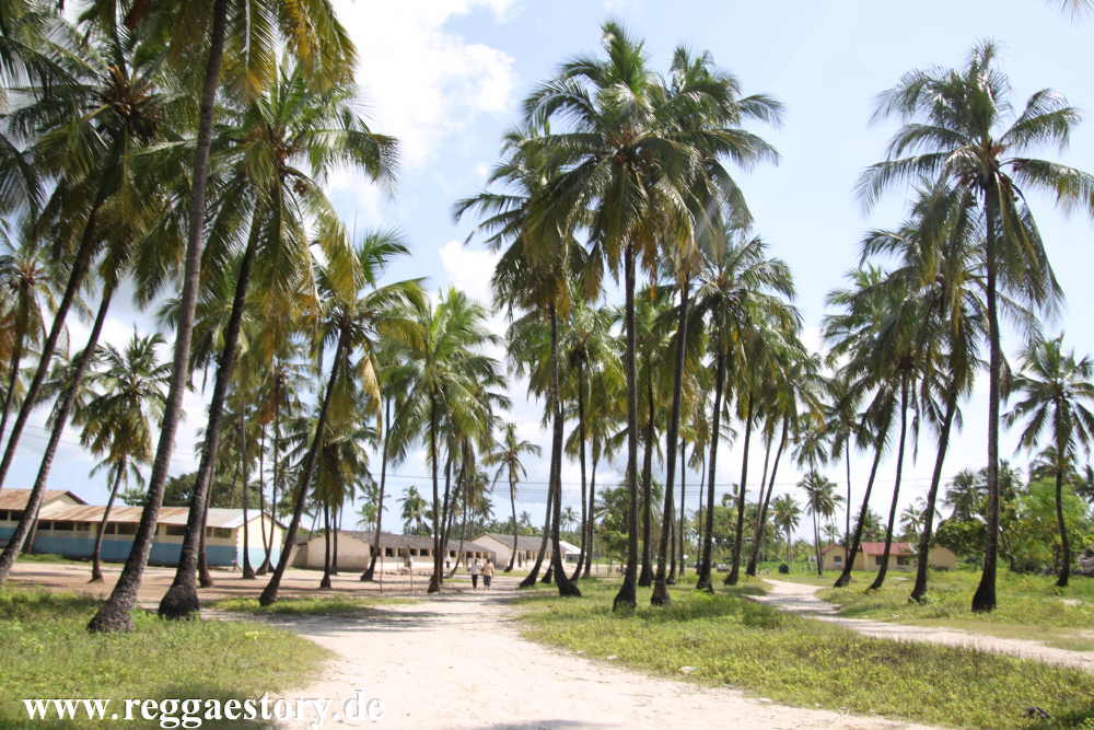 Zanzibar - Pwani Mchangani