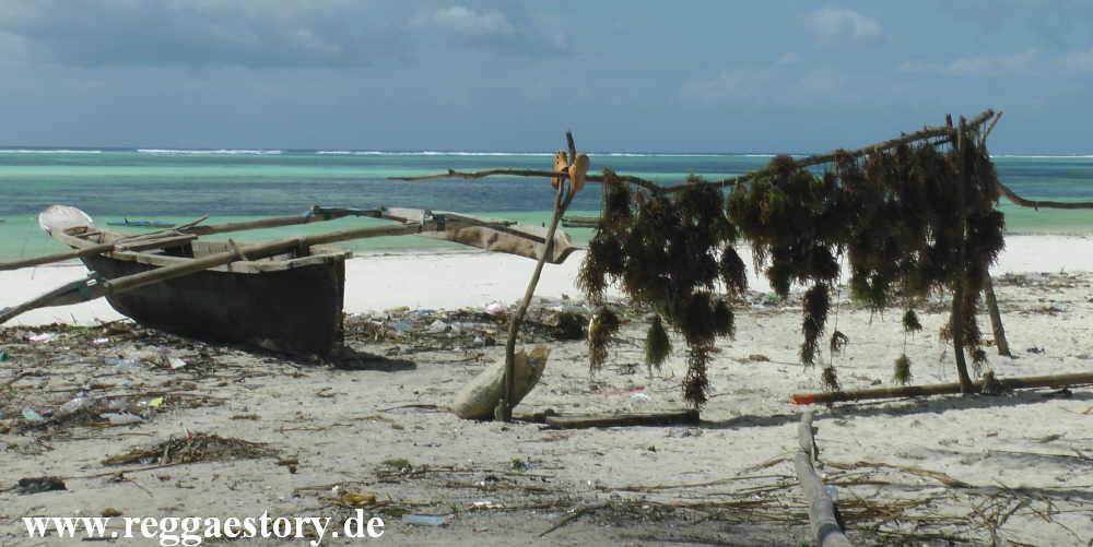 Zanzibar - Pwani Mchangani