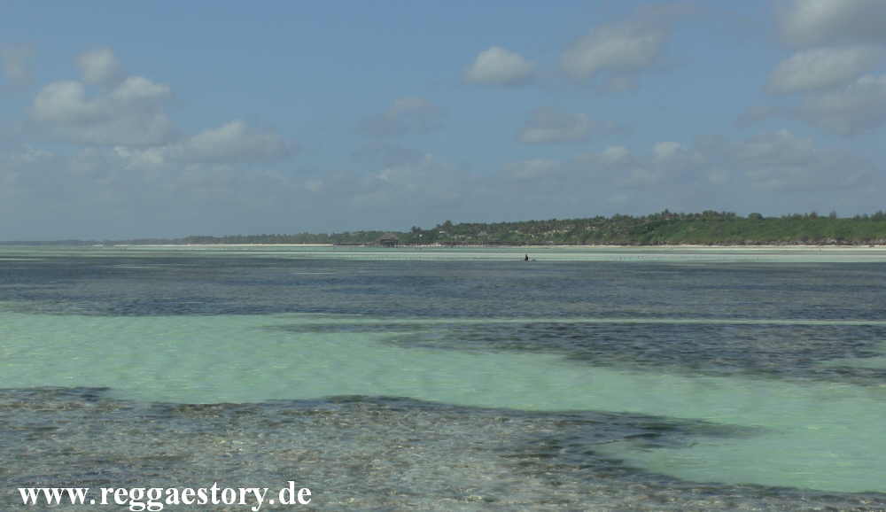 Zanzibar - Pwani Mchangani - Riffwanderung