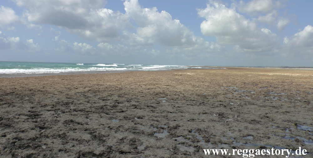 Zanzibar - Pwani Mchangani - Riffwanderung