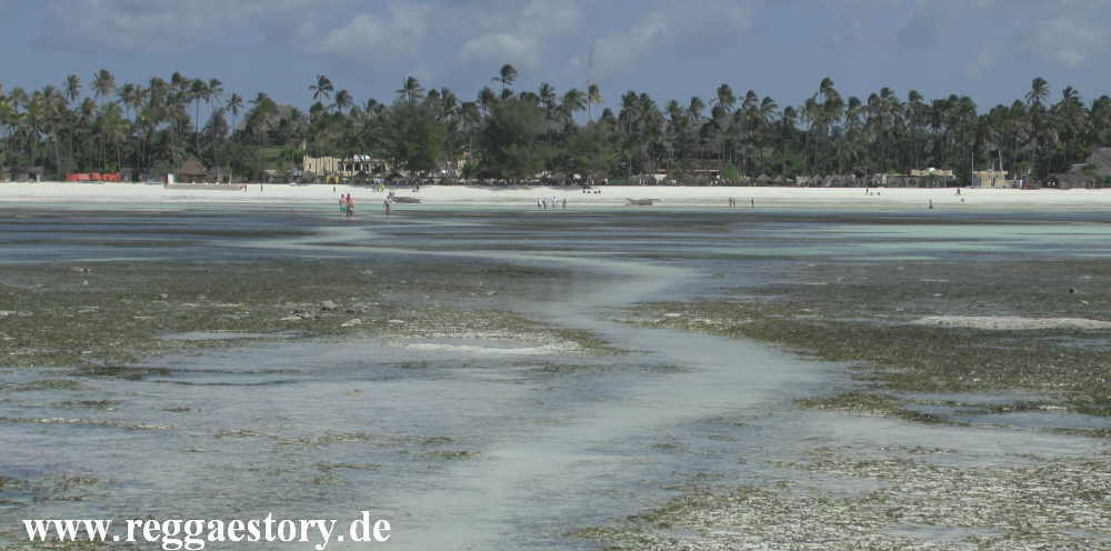 Zanzibar - Pwani Mchangani - Riffwanderung