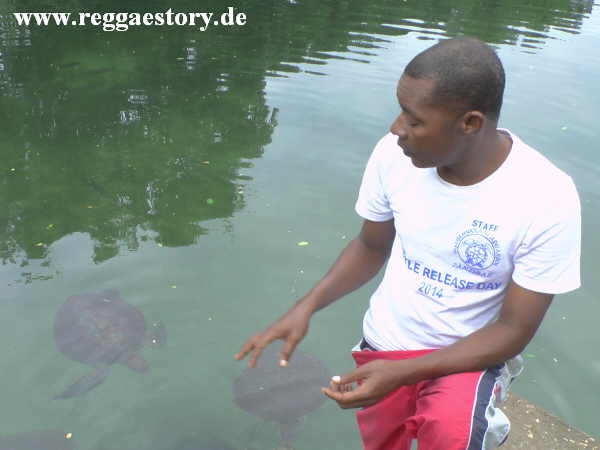 Zanzibar - Nungwi - Turtle Aquarium