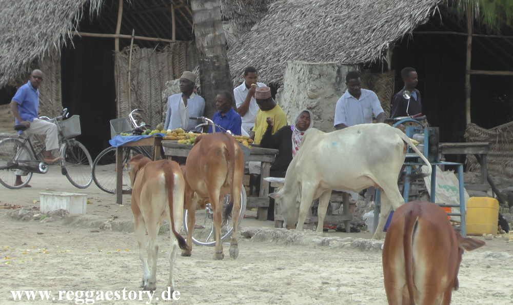 Zanzibar - Nungwi - East