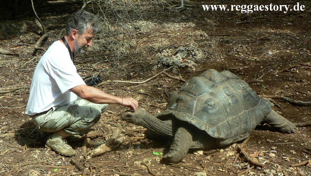Zanzibar - Prison Island - Riesenschildkröte