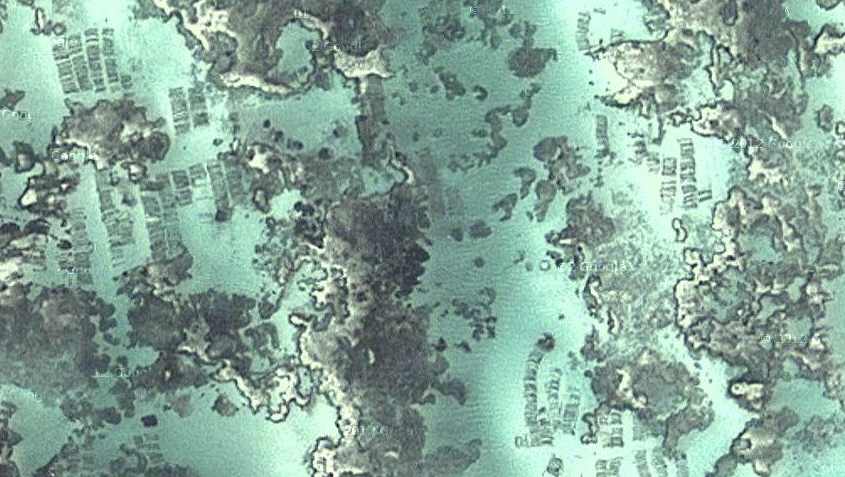 Zanzibar - Pwani Mchangani - Algengärten